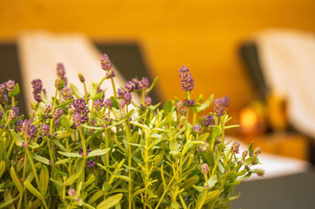 Wellnessoase Mitten In Triberg 트리베르크 외부 사진
